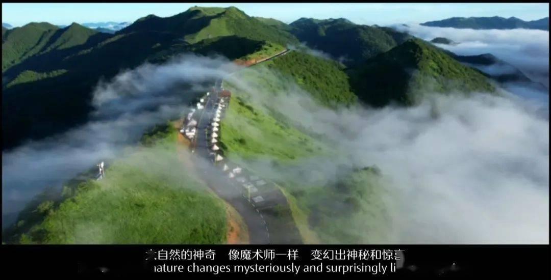 9170官方金沙入口